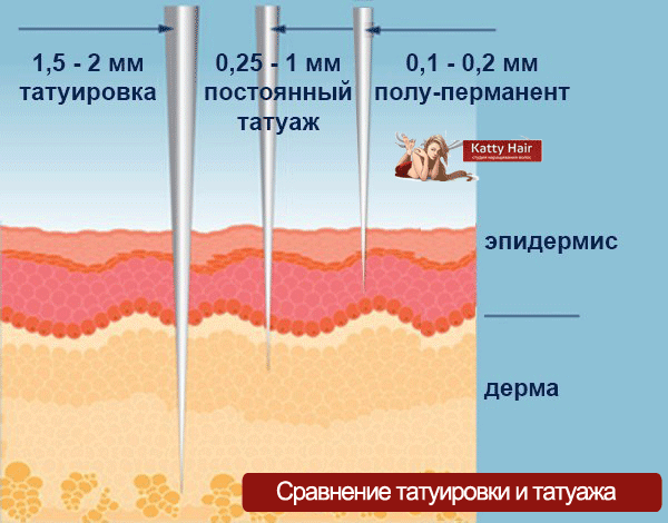 схема микроблейдинга обучение татуажу